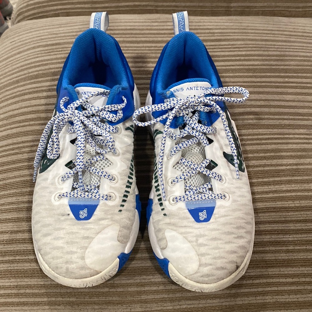 Nike Giannis Antetokounmpo basketball shoes